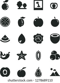 Solid Black Vector Icon Set - drop vector, chili, ripe peach, apple, half apricot, squash, blueberry, blueberries, plum, tasty, sweet date fruit, of passion, coconut, part guava, slice water melon