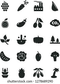 Solid Black Vector Icon Set - garlic vector, mint, large grape, squash, cornels, mulberry, goji berry, slice of tangerine, half guawa, ripe pineapple, carrot, broccoli, eggplant, pumpkin, leaves