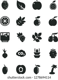 Solid Black Vector Icon Set - beet vector, a glass of tea, mint, ripe peach, apple, half apricot, grape, blackberry, tasty raspberry, blueberry, mulberry, cornels, lemon, juicy, guawa, leaf, biology