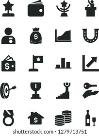Solid Black Vector Icon Set - growth chart vector, coins, wallet, dollars, graph, award, star cup, reward, winner stairway, man with medal, flag, purpose, gold ring, arm key, mortgage, speaker, luck