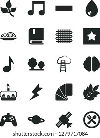 Solid Black Vector Icon Set - minus vector, e, sample of colour, lightning, drop, planet, onion, torte, leaves, trees, weaving, note, joystick, brain, satellite, biology, star, cloud ladder, cafe