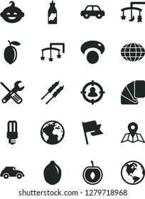 Solid Black Vector Icon Set - sign of the planet vector, toys over cradle, cot, motor vehicle, funny hairdo, small tools, sample colour, map, flag, barbecue, liquor, half cherry, lemon, lime, globe
