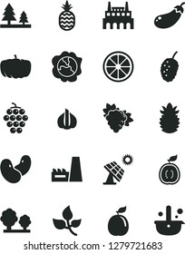 Solid Black Vector Icon Set - a pineapple vector, branch of grape, large, squash, tasty mulberry, juicy lemon, guava, half guawa, ripe, garlic, beans, eggplant, pumpkin, big solar panel, leaves