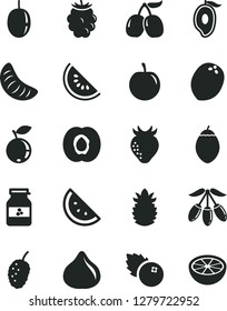 Solid Black Vector Icon Set - jar of jam vector, blueberries, orange slice, half apricot, strawberry, fig, blackberry, blueberry, tasty mulberry, cornels, water melon, mango, goji berry, tangerine