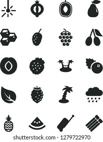 Solid Black Vector Icon Set - rainy cloud vector, blueberries, strawberries, a pineapple, honeycombs, large grape, pear, plum, cornels, half of medlar, tasty raspberry, mulberry, delicious, leaf