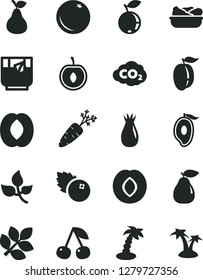 Solid Black Vector Icon Set - lettuce in a plate vector, glass of tea, blueberries, pear, orange, cherry, plum, rose hip, blueberry, half mango, peach, ripe, carrot, leaves, carbon dyoxide, biology