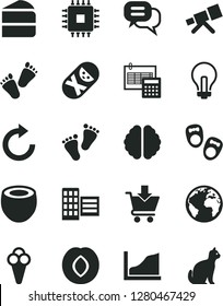 Solid Black Vector Icon Set - sign of the planet vector, incandescent lamp, clockwise, tumbler, footprints, children's tracks, shoes for little children, city block, calculation, put in cart, cone