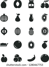 Solid Black Vector Icon Set - cake slice vector, jar of jam, apple, pear, orange, half pomegranate, quince, rose hip, medlar, blueberries, tasty cornels, melon, mango, loquat, delicious plum, peach