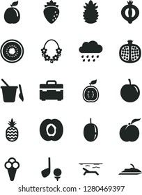 Solid Black Vector Icon Set - rainy cloud vector, children's sand set, suitcase, cone, a pineapple, ripe peach, half apricot, pomegranate, raspberry, of medlar, tasty plum, passion fruit, kiwi, golf