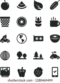 Solid Black Vector Icon Set - wicker pot vector, peper, cup of tea, a glass, strawberries, mint, water melon, tasty plum, kiwi, half, slice, cucumber, leaf, planet Earth, trees, forest, eco car