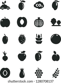 Solid Black Vector Icon Set - beet vector, apple, mint, half pomegranate, large grape, red, plum, rose hip, tasty raspberry, mulberry, mango, peach, ripe, lemon, grapefruit, trees, carbon dyoxide
