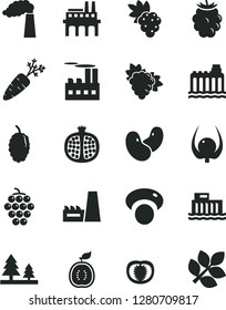 Solid Black Vector Icon Set - half pomegranate vector, grape, branch of, large, blackberry, mulberry, guawa, physalis, tomato, carrot, beans, mashroom, manufacture, hydroelectric station, forest