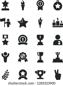 Solid Black Vector Icon Set - star vector, pedestal, flame torch, winner, laurel branch, podium, prize, award, gold cup, reward, man with medal, hold flag, pennant, ribbon, hero, victory hand