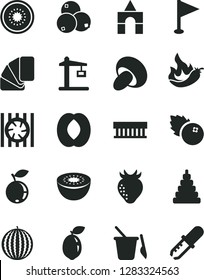 Solid Black Vector Icon Set - pennant vector, stacking toy, children's sand set, box of bricks, sample colour, porcini, blueberries, strawberry, blueberry, water melon, half peach, kiwi, sour lime