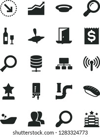 Solid Black Vector Icon Set - women vector, children's bathroom, small yule, electronic boiler, big data server, right bottom arrow, plate, japanese sushi, water pipes, scheme, financial item, zoom