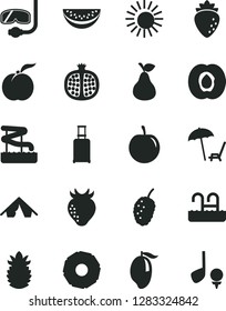 Solid Black Vector Icon Set - pear vector, ripe peach, half apricot, pomegranate, raspberry, strawberry, tasty mulberry, mango, water melon slice, plum, pineapple, of, rolling suitcase, tent, sun