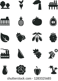 Solid Black Vector Icon Set - tomato vector, garlic, a pineapple, grape, branch of, squash, rose hip, blackberry, goji berry, half loquat, ripe pepper, radish, big solar panel, leaf, manufacture