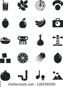 Solid Black Vector Icon Set - cubes for children vector, siphon, camera, a plate of fruit, glass soda, pomegranate, bananas, lime, tamarillo, slice lemon, guava, onion, mashroom, lighthouse, radar