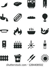 Solid Black Vector Icon Set - radiator vector, new, boiler, electronic, loaf, Hot Dog, mini, porridge, chop, barbecue, chili, coffe to go, a glass of tea, bottle soda, red pepper, steel production