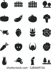 Solid Black Vector Icon Set - garden trolley vector, building, fence, hedge, tomato, carrot, strawberries, mint, squash, tasty apple, raspberry, rose hip, plum, physalis, stub, broccoli, eggplant