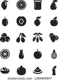 Solid Black Vector Icon Set - a plate of fruit vector, jam, pineapple, pomegranate, branch grape, quince, pear, apricot, plum, rose hip, cornels, blueberries, mango, goji berry, tasty, passion