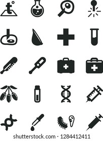 Solid Black Vector Icon Set - first aid kit vector, plus, electronic thermometer e, mercury, medical bag, temperature, garlic, goji berry, round flask, test tube, dna, bactery, pipette, syringe