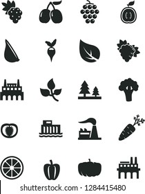 Solid Black Vector Icon Set - garlic vector, grape, branch of, large, tasty cornels, juicy lemon, half guawa, tomato, Bell pepper, carrot, broccoli, radish, pumpkin, leaves, leaf, factory, forest