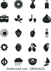 Solid Black Vector Icon Set - rainy cloud vector, suitcase, bottle of soda, strawberry, pear, cornels, fig, half medlar, tasty raspberry, mulberry, mango, plum, kiwi, leaves, rolling, sun, golf