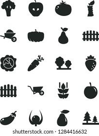 Solid Black Vector Icon Set - garden trolley vector, building, fence, hedge, tomato, carrot, pear, mint, squash, tasty apple, raspberry, plum, physalis, stub, broccoli, eggplant, pumpkin, trees