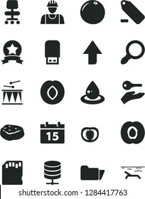 Solid Black Vector Icon Set - upward direction vector, remove label, drumroll, builder, calendar, big data server, piece of meat, half apricot, plum, grapefruit, tomato, drop oil, usb flash, folder