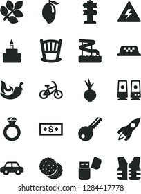 Solid Black Vector Icon Set - danger of electricity vector, cradle, motor vehicle, key, birthday cake, chili, beet, biscuit, mango, rocket, usb flash, pc speaker, biology, diamond ring, dollar, taxi