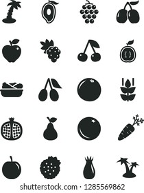 Solid Black Vector Icon Set - lettuce in a plate vector, strawberries, pear, orange, mint, cherry, half pomegranate, grape, large, red apple, rose hip, cornels, tasty, of mango, plum, guawa, carrot