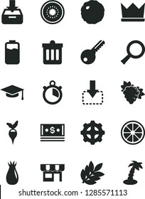 Solid Black Vector Icon Set - key vector, dust bin, put in a box, kiosk, move down, cabbage, branch of grape, rose hip, juicy lemon, half kiwi, radish, charge level, gear, cash, zoom, graduate hat