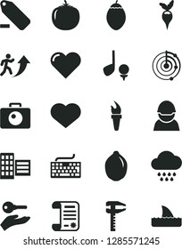 Solid Black Vector Icon Set - heart symbol vector, keyboard, remove label, cloud, city block, camera, lime, tamarillo, persimmon, radish, racer, calipers, research article, radar, flame torch, golf