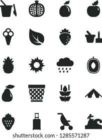Solid Black Vector Icon Set - wicker pot vector, summer stroller, rainy cloud, toy sand set, children's, cone, strawberry, mint, half pomegranate, pear, apricot, raspberry, delicious plum, guava