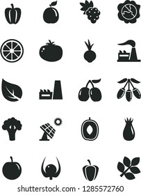 Solid Black Vector Icon Set - tomato vector, beet, grape, squash, rose hip, tasty cornels, goji berry, delicious plum, juicy lemon, guava, physalis, Bell pepper, ripe, broccoli, big solar panel