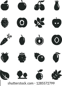 Solid Black Vector Icon Set - blueberries vector, half apricot, tasty apple, plum, strawberry, rose hip, blackberry, raspberry, blueberry, mulberry, cornels, mango, cherry, carrot, leaf, trees