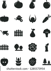 Solid Black Vector Icon Set - garden trolley vector, building, fence, hedge, tomato, carrot, strawberries, pear, mint, squash, tasty apple, rose hip, plum, physalis, stub, broccoli, pumpkin, trees