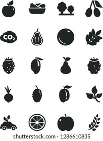 Solid Black Vector Icon Set - lettuce in a plate vector, beet, pear, orange, apple, apricot, cornels, blackberry, tasty raspberry, mulberry, mango, ripe plum, juicy lemon, part of guava, leaves