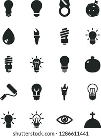 Solid Black Vector Icon Set - matte light bulb vector, new roller, saving, eye, drop, pomegranate, energy, flame torch, flag on moon, gold ring, crown with cross
