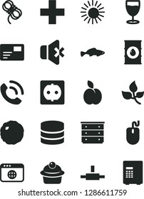 Solid Black Vector Icon Set - plus vector, chest of drawers, hawser, no sound, pass card, phone call, muffin, cabbage, small fish, glass, apple, leaves, oil, power socket, mouse, browser, connect