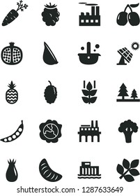 Solid Black Vector Icon Set - garlic vector, a pineapple, mint, half pomegranate, squash, rose hip, blackberry, mulberry, tasty cornels, slice of tangerine, carrot, peas, broccoli, big solar panel