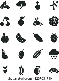 Solid Black Vector Icon Set - cloud vector, storm, cucumber, beet, garlic, apple, cherry, squash, quince, tasty raspberry, mulberry, slice of tangerine, sweet date fruit, lemon, radish, wind energy