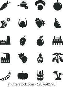 Solid Black Vector Icon Set - garden trolley vector, garlic, carrot, a pineapple, mint, grape, branch of, tasty mulberry, goji berry, plum, guava, physalis, peas, mashroom, pumpkin, big solar panel