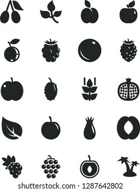Solid Black Vector Icon Set - apple vector, orange, mint, half pomegranate, grape, large, apricot, rose hip, cornels, blackberry, tasty raspberry, blueberry, mulberry, peach, plum, cherry, leaves