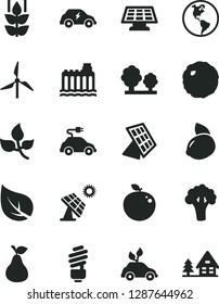 Solid Black Vector Icon Set - saving light bulb vector, cabbage, pear, mint, yellow lemon, delicious apple, broccoli, big solar panel, leaves, leaf, windmill, planet Earth, hydroelectricity, trees