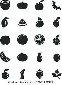 Solid Black Vector Icon Set - tomato vector, ripe peach, apple, raspberry, rose hip, blueberry, slice of melon, tangerine, plum, passion fruit, yellow lemon, sour lime, half guawa, coconut, water