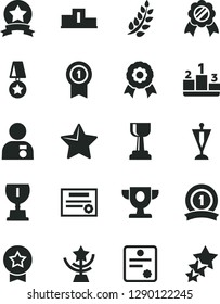 Solid Black Vector Icon Set - star vector, pedestal, medal, patente, laurel branch, prize, award, gold cup, man with, pennant, ribbon, three stars