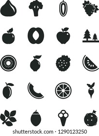 Solid Black Vector Icon Set - cone vector, strawberries, branch of grape, quince, apricot, red apple, fig, slice melon, water, half peach, sweet date fruit, lemon, juicy, kiwi, tamarillo, broccoli