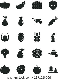 Solid Black Vector Icon Set - garden trolley vector, building, hedge, tomato, carrot, strawberries, pear, mint, squash, tasty apple, raspberry, rose hip, plum, physalis, stub, broccoli, eggplant